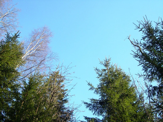 23524 (a): :1024x768